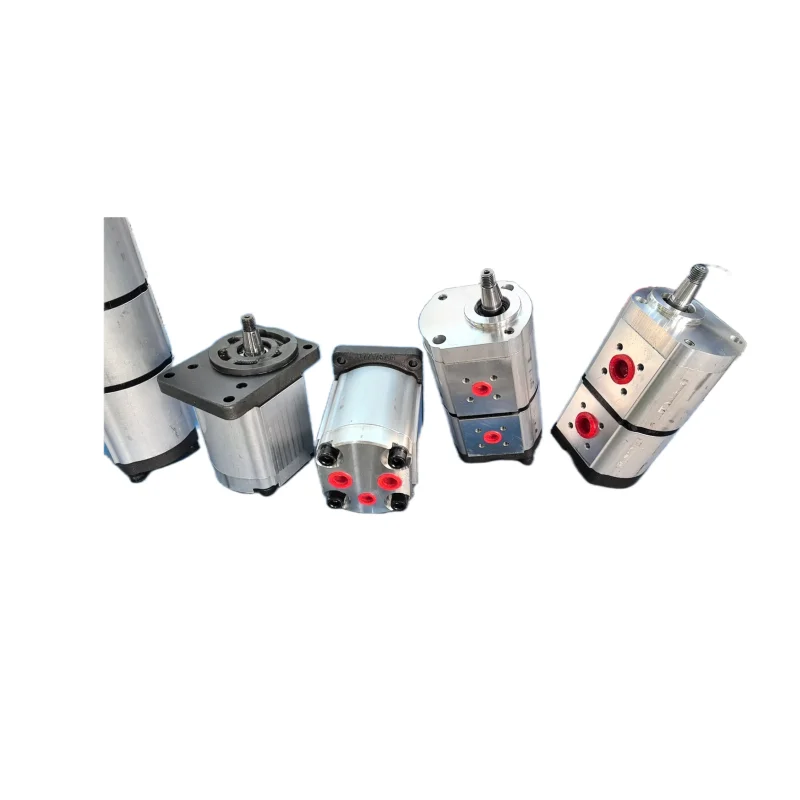 1802019 WP09A1B060R03BA121N Hydraulic Gear Pump WP300B WP03B WP09A WP15A WP12A Series