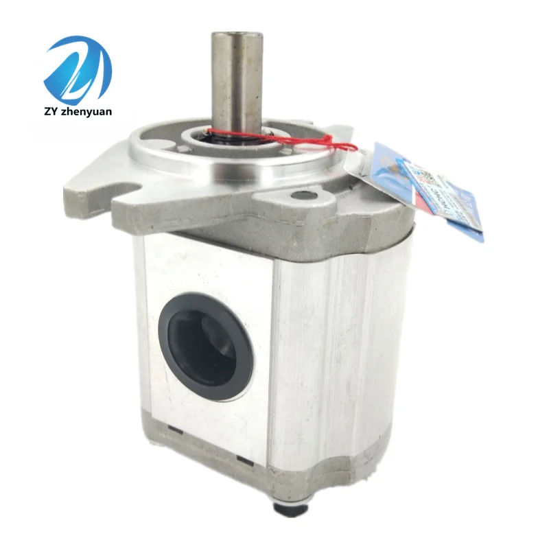 CBN Oil Gear Pump CBN-E(F)314 CBN-E(F)316 CBN-F310-AFP CBN-F312-AFP CBN-F314-AFP