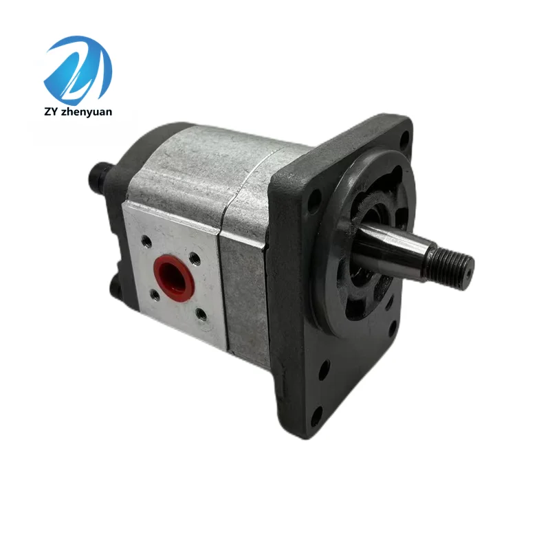 High Pressure Hydraulic Gear Oil Pump AP200/19 S 880 AP200/19 D 887-S AP AP100 AP200 AP300 Series
