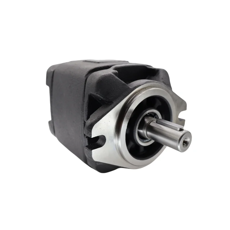 LXPG1H-LX1/010RF1A0034 Industrial Grade High-Pressure Gear Pump LXPG1H LXPG2H LXPG3H LXPG2G Series