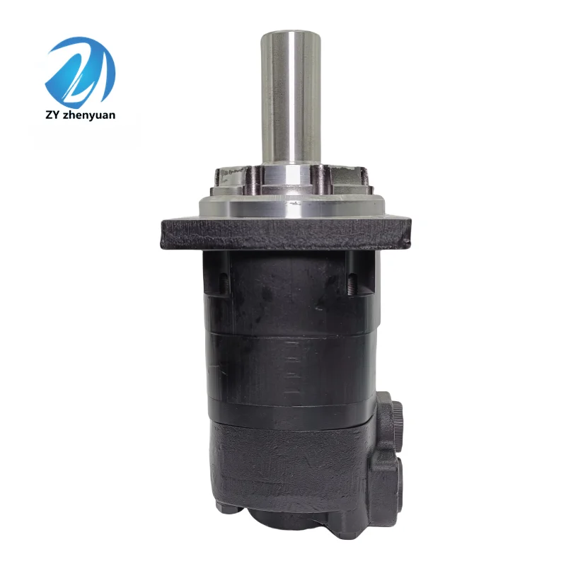 BMSY BMER BMK BMT Hydraulic Motor BMSY-315-E4-G-S BMSY315E4KS BMSY-315-E2-K-S