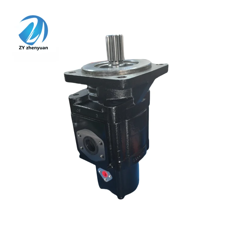 Hydraulic High Pressure Gear Pump KP30.34-04S3/30.34 D Series KP30.51-05S3/30.34 D for Cast Iron for Machinery