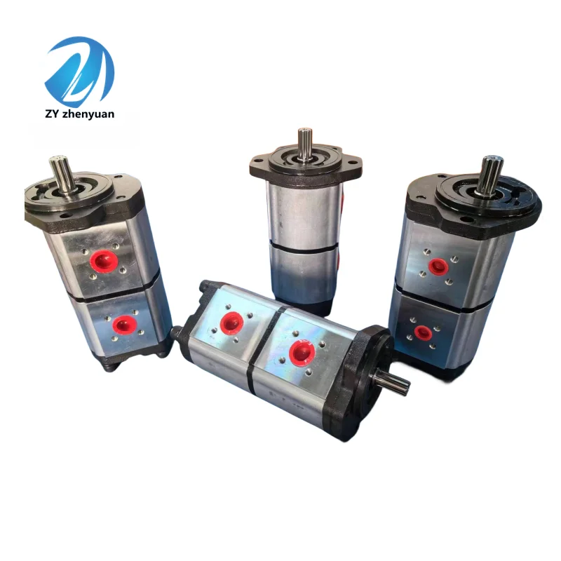 AZPFF AZPNFF AZPFG AZPFB AZPNF AZPGG Series AZPGG-22-022/022RCB0707KB-S9997 Hydraulic High Pressure Double Gear Pump