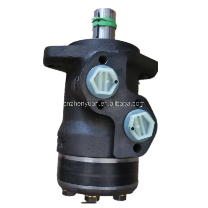 Italy ZY OMSU OMM OMR Hydraulic Motor OMSU160 11121581 OMSU100 11121714 OMM32 11160626 OMM12,5 11164987 OMR125 151-0208