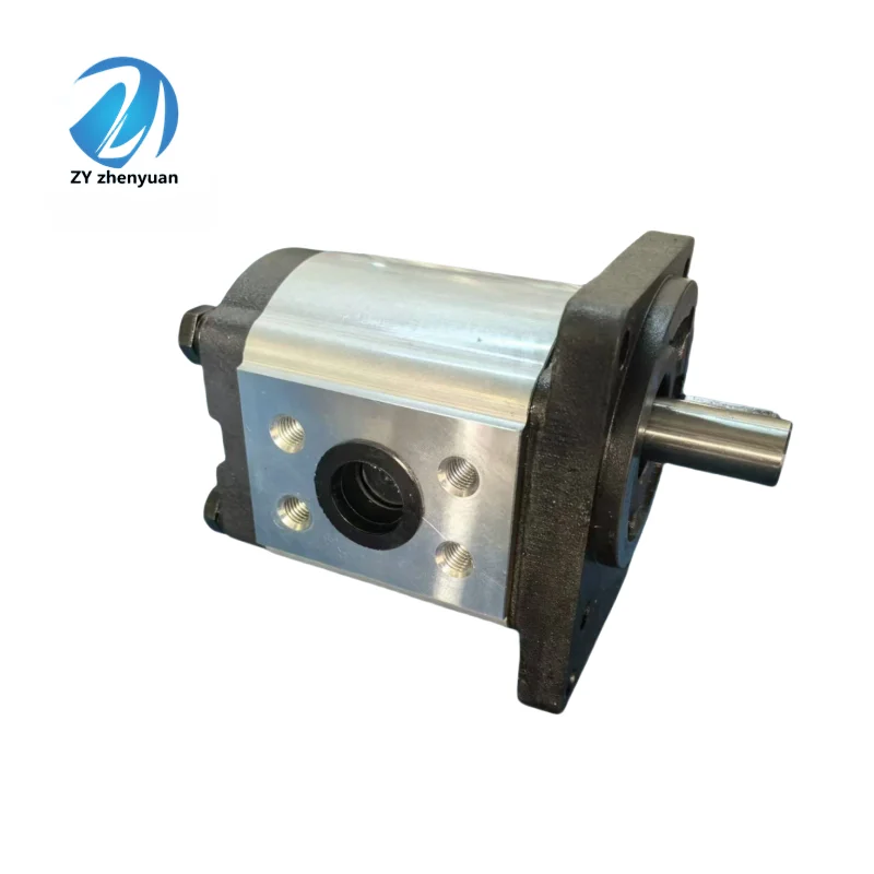 1PF2G241/022RC20MB 1PFG2-4.X/011RR20MR 1PF2G2-40B/005RR19MR Gear Hydraulic Oil Pump 0PF 1PF 2PF 3PF