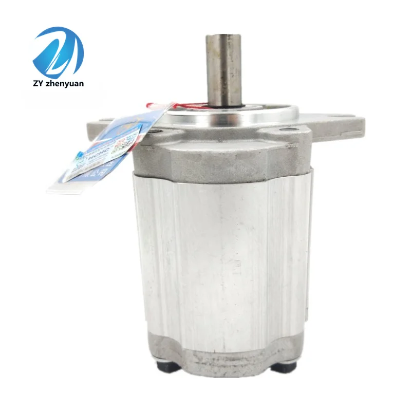 Hydraulic Gear Pump CBN CBT-E306 E308 E310 E312 E314 E316 E318 E320 E325 CBN-F325-AFPR CBN-F304-AFPL CBN-F306-AFPL CBN-F308-AFPL