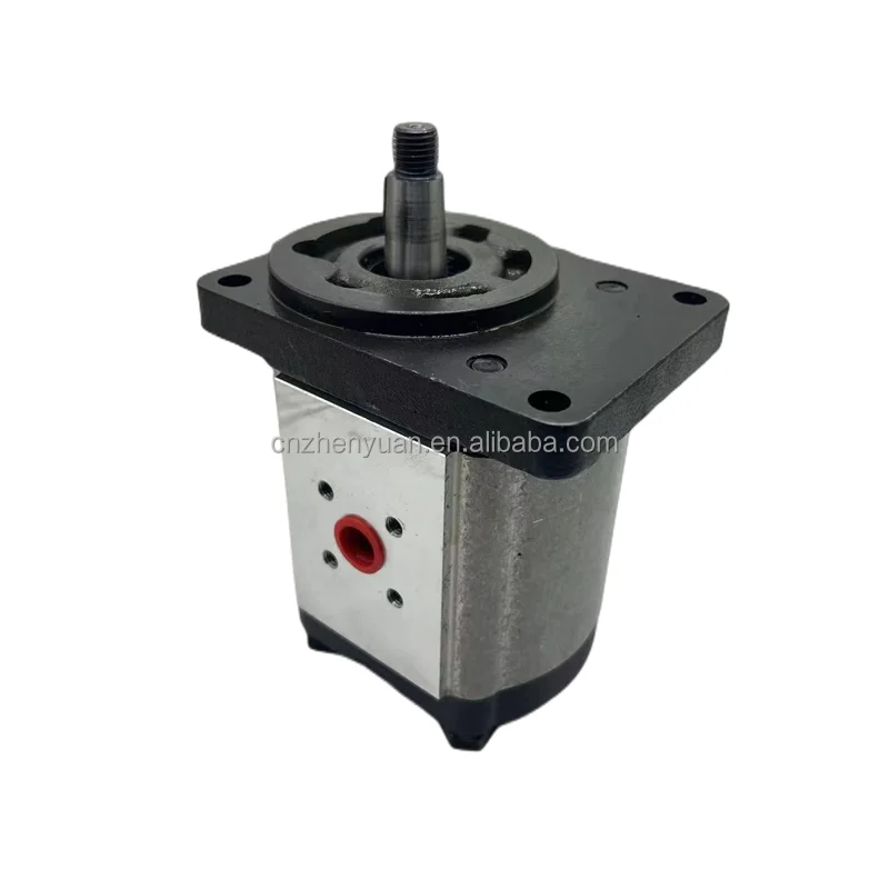 Hydraulic Gear Oil Pump PLM PLP PLP30 PLP20  PLP10 PLP20.14D0-82E2-LGE/GD-N-EL