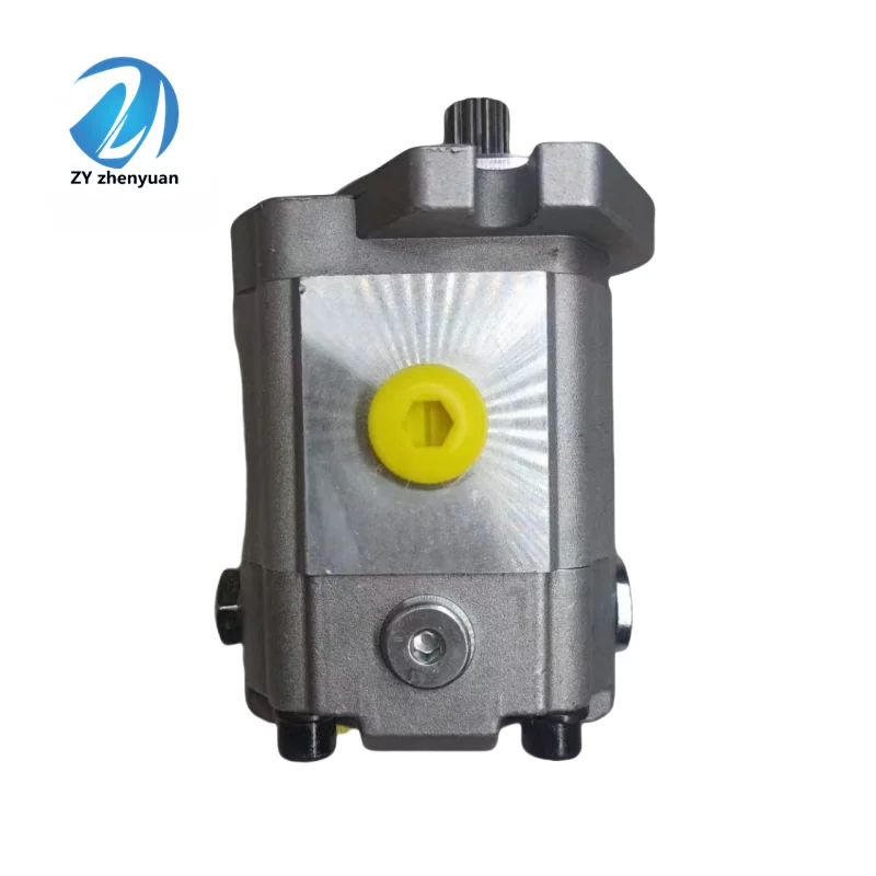 Excavator 31NB 31LB 31N1 31N8 31N3 31N6 Series R290LC-7A 31N8-10080 XJBN-00965 Special Hydraulic Pump for Loader