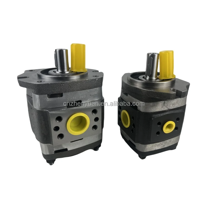 Internal Gear Pump IPV3 IPV4 IPV5 IPV6 IPV7 IPV IPV7-125-101 IPV7-160-101 IPV7-200-101 IPV7-250-101