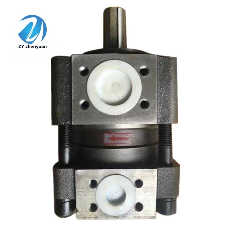 QT51 QT61 QT32 QT42 QT62 QT33 QT43 QT53 QT63 Gear Pump Injection Molding Machine Qt62-F80-S1302C Qt62-F80-S1302-C Qt62-F80