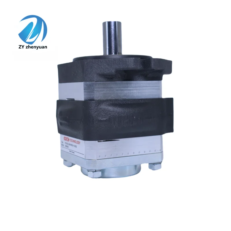 PGI103-6-125-RA23-10 High Pressure Hydraulic Servo Gear Pump PGI PGI101 PGI102 PGI103 Series