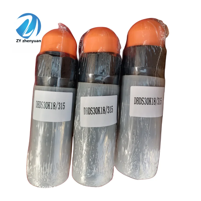 DBDH DBDS DBDS6 DBDS20 DBDS30 DBDS10 Direct Acting Relief Valve DBDS6PK10B/50/100/200/315 DBDS6P10B DBDS10P10B/ DBDS30G10B