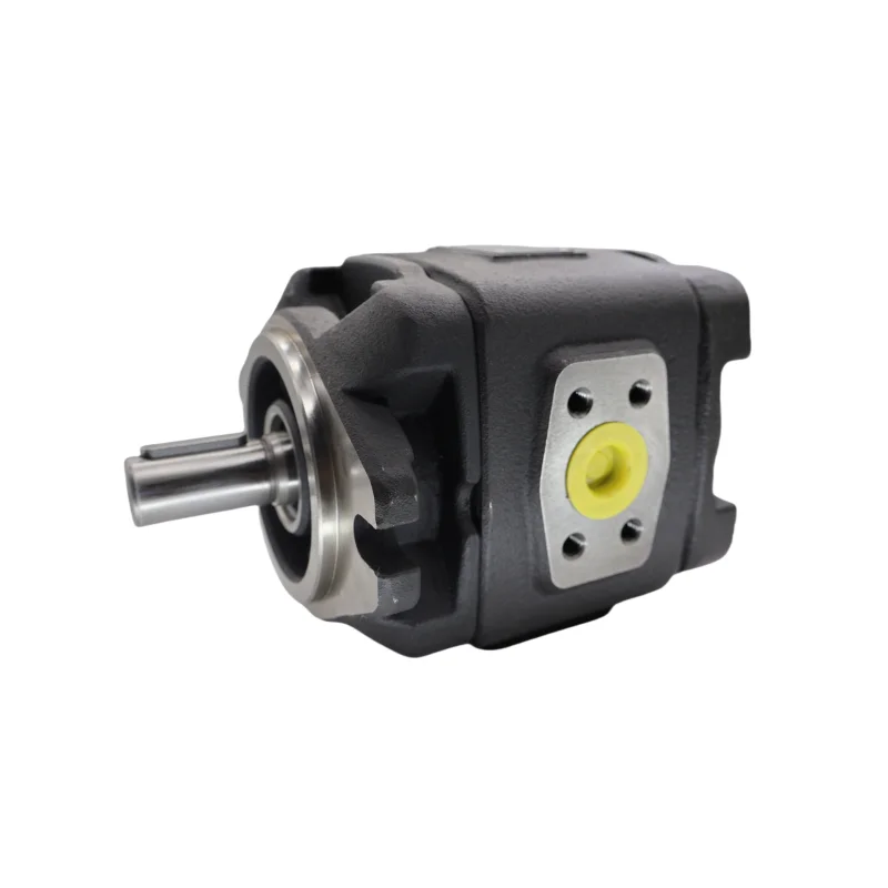 LXPG3H LXPG1H LXPG2H LXPG3H LXPG2G Hydraulic Oil Servo Gear Pump LXPG2H-LX1/025RF2A0040 LXPG2H-LX1/040RF2A0042