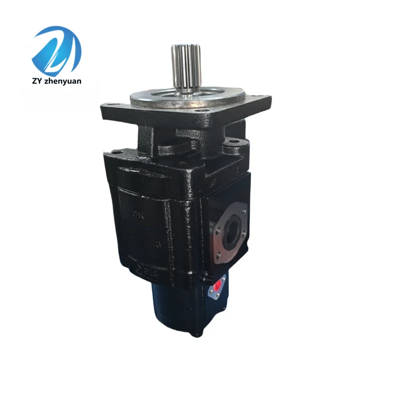 Hydraulic High Pressure Mini Gear Pump KP30.61-05S3/30.27 D KP30.22 KP30.24 KP30.29 KP30.31 KP30.34 Series